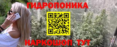 гидра Котовск