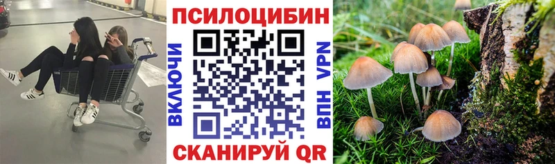Галлюциногенные грибы мицелий  Курган 
